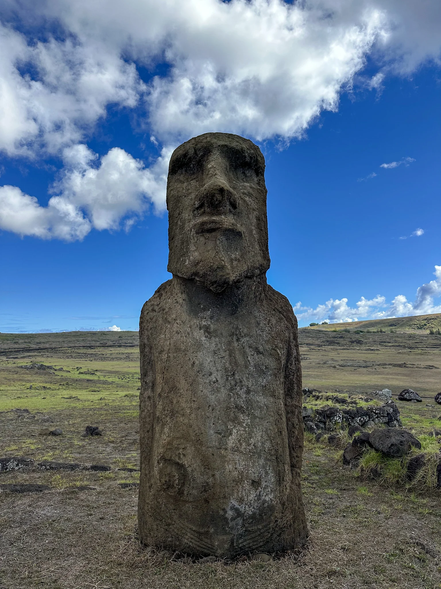 Moái de pie entre las laderas de Rapa Nui